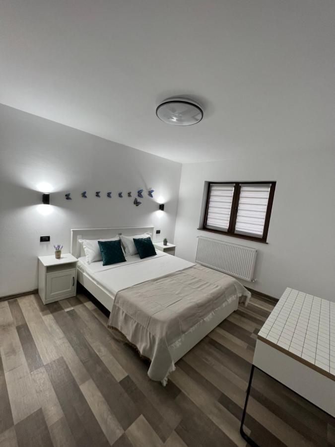 Sunny Luxury Home G. Enescu 苏恰瓦 外观 照片