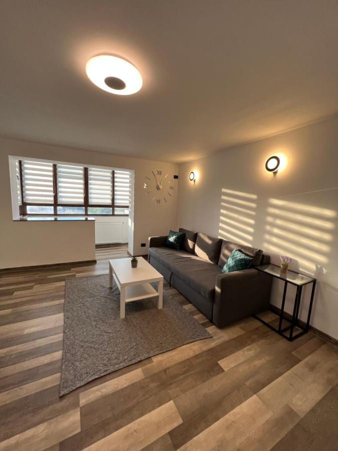 Sunny Luxury Home G. Enescu 苏恰瓦 外观 照片