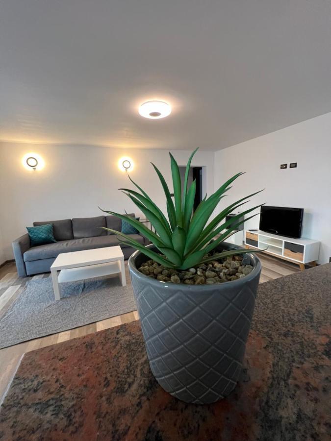 Sunny Luxury Home G. Enescu 苏恰瓦 外观 照片